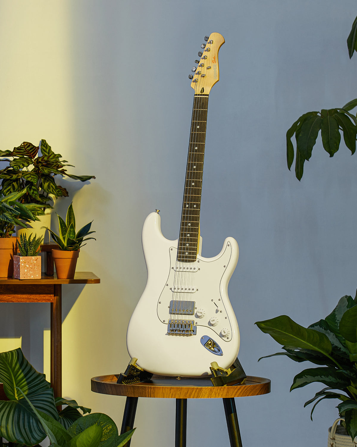 Donner DST-152 Electric Guitar Kit
